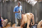 etapes de fabrication des chaises de gardien , meuble africain de valeur symbolique et traditionnelle